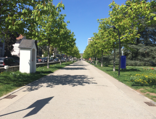 Adenauerallee