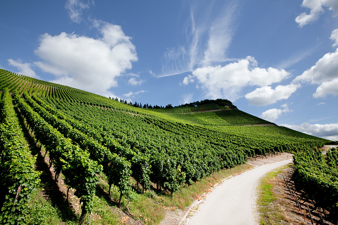 Weinfachberatung Klaus Ribbecke – Heimvorteil Oberursel